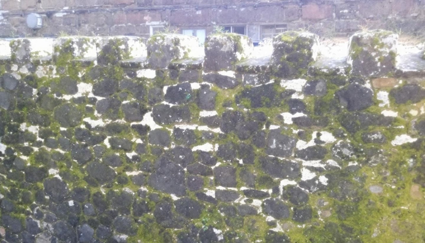 Comment prévenir les dommages causés par les mousses et lichens sur les façades ?